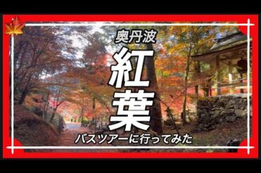 奥丹波紅葉バスツアーに行ってみた