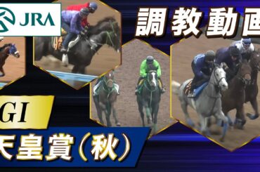 【調教動画】2025年 天皇賞（秋）｜JRA公式