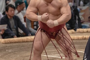 【画像】力士、ムキムキだったｗｗｗｗｗｗｗｗｗｗ