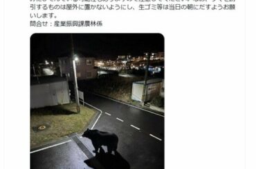 女川町が公式Xに「フェイク画像」のクマ投稿 注意喚起もその後 偽物と判明「作成者本人から連絡」