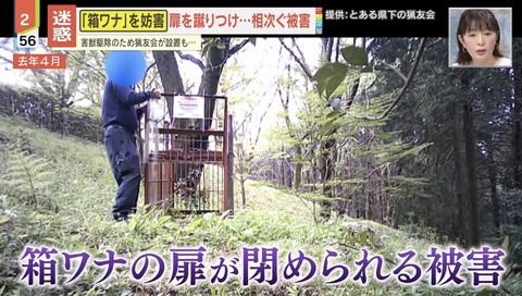 【画像】熊を殺すなという人たち「クソッ！これ以上クマを殺されてたまるか！！………せや！」