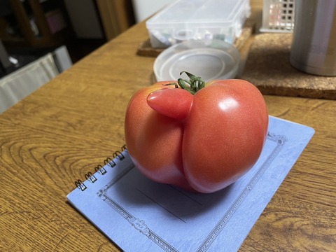 【悲報】トマトさん、ついに高級野菜へwwwwwwwwww 【悲報】トマトさん、ついに高級野菜へwwwwwwwwww