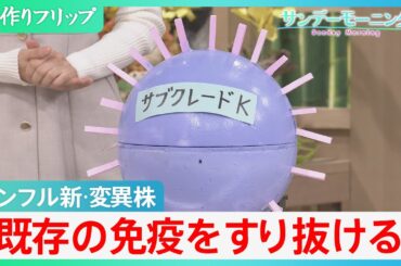 【インフル感染拡大】背景に新･変異株 “サブクレードK”　「既存の免疫をすり抜ける」過去10年間で最大規模の流行予測も【サンデーモーニング】｜TBS NEWS DIG