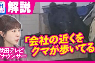 「どう行動すればいいか分からない」会社の近くで”我が道顔で歩くクマ”　秋田テレビアナが語る恐怖と不安　熊出没でスナックママ「コロナ禍のように客減った」｜旬感LIVE とれたてっ！〈カンテレNEWS〉