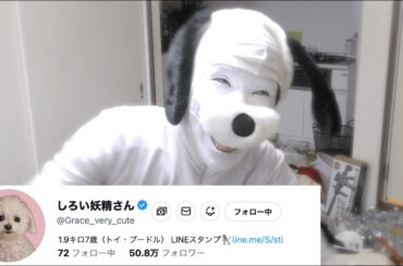 橋本環奈さんごめんなさい。新しい推しができました。