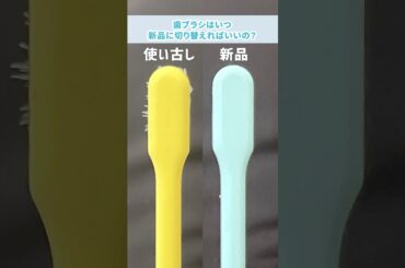 歯ブラシの交換タイミングは？ #歯医者さん #歯磨き #歯科オンライン診療