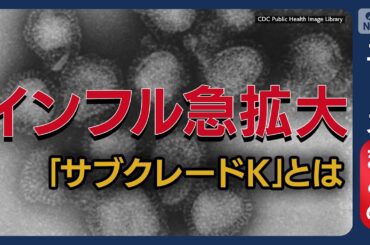インフル猛威 新変異株「サブクレードK」の脅威 / 感染ピーク1カ月早く「患者数は去年の40倍」 かかりやすい人の特徴は【ニュースまとめ】(2025年11月18日～28日) ANN/テレ朝 LIVE