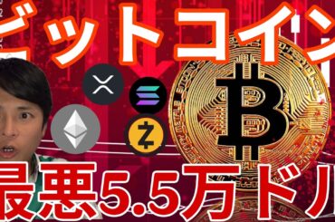 ビットコイン2026年最悪5.5万ドル(800万円)、他の仮想通貨もっと悲惨に！