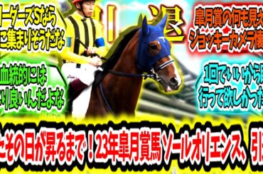 『またその日が昇るまで！2023年皐月賞馬 ソールオリエンス、引退。』に対するみんなの反応【競馬の反応集】
