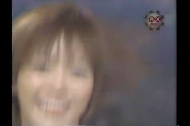 釈由美子 ドラマチィックに恋をして