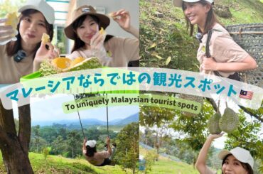 ドリアンの概念が180度変わったフレッシュさ❤️in Durian farm