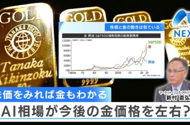 株価をみれば金もわかる AI相場が今後の金価格を左右？【NIKKEI NEWS NEXT】