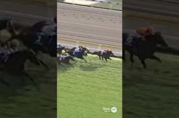 【ジャパンカップ2025 結果】マスカレードボール大外一気で突っ込んで優勝？？ #競馬 #ジャパンカップ #Shorts