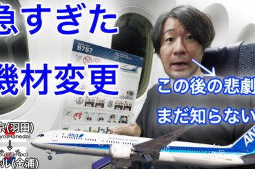 【悲劇】韓国プレスツアーに呼ばれて飛んだのに、到着後まさかの中止連絡… ANA 羽田→ソウル金浦