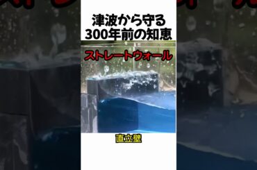 津波から守る300年前の知恵#shorts