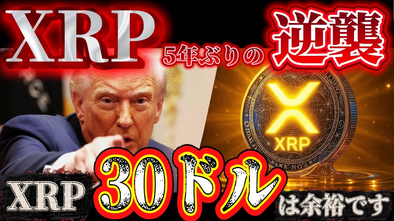ð¥XRP(ãªããã«)æŽå²çäžæãæ¥ãð¥åã®”12å説”ã¯æ¬åœã ã£ã….次ã®ççºã¯æéã®åé¡âïž ð¥XRP(ãªããã«)æŽå²çäžæãæ¥ãð¥åã®"12å説"ã¯æ¬åœã ã£ã....次ã®ççºã¯æéã®åé¡âïž