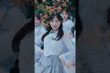 🍊 Oh my pumpkin 🌸 #AKB48 #小栗有以 Yui Oguri #前田敦子 #山内瑞葵 #八木愛月 #佐藤綺星 🍓 #AKB48_20thYear #shorts