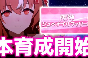 【チャンミ】ゆるっと本育成【阪神1600ｍ桜花賞、朝日杯】　＃ウマ娘