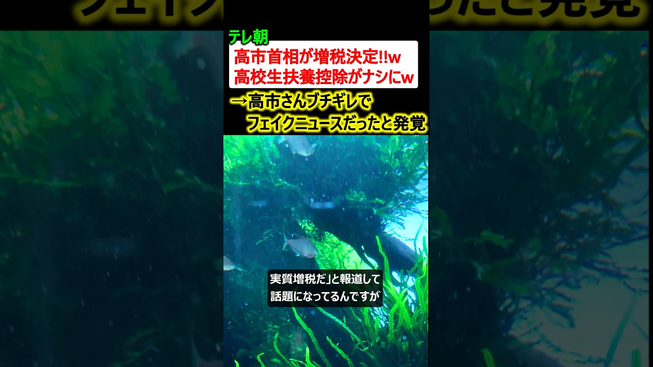 テレ朝「高市首相が増税決定w 」→高市さんブチギレでフェイクニュースと発覚 テレ朝「高市首相が増税決定w 」→高市さんブチギレでフェイクニュースと発覚