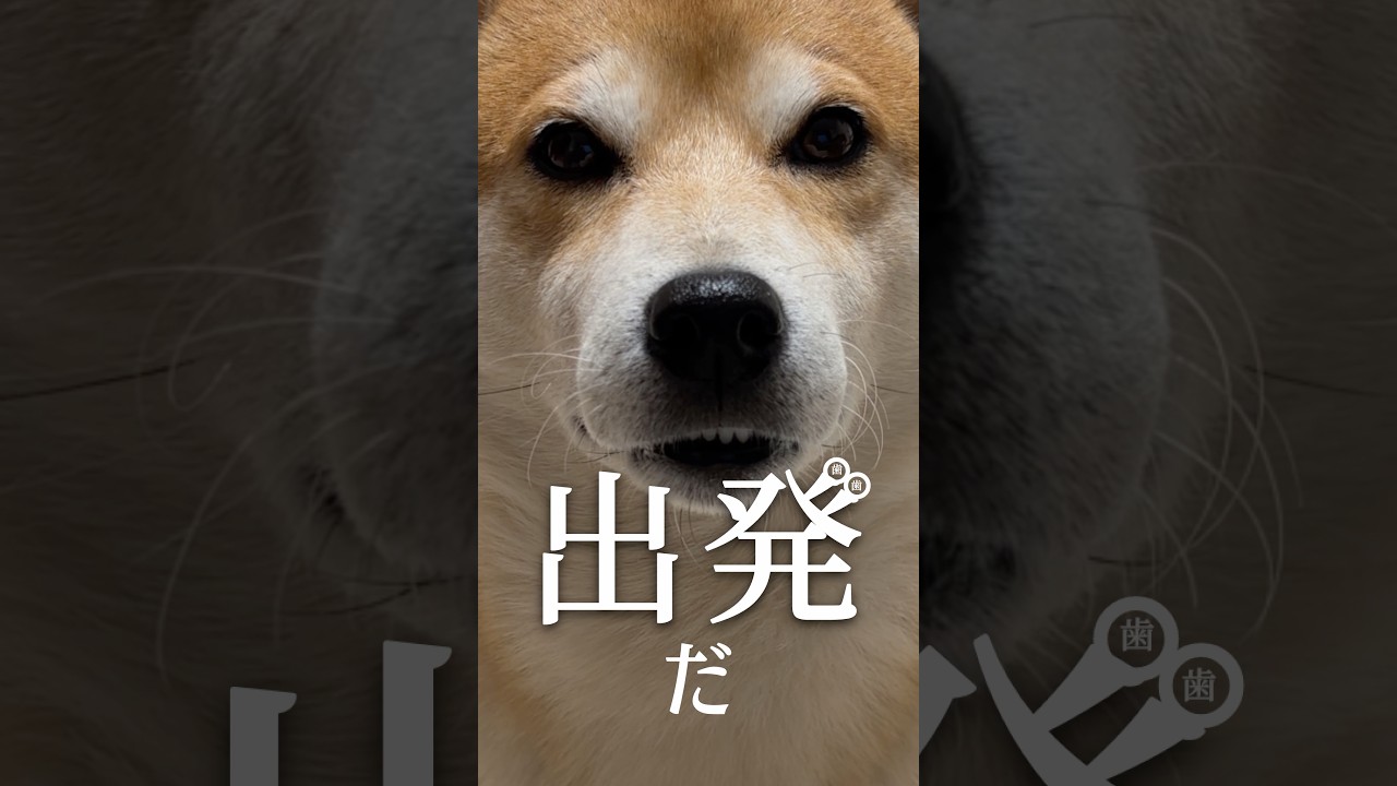 今年のトレンドを意識した冬のファッション 今年のトレンドを意識した冬のファッション