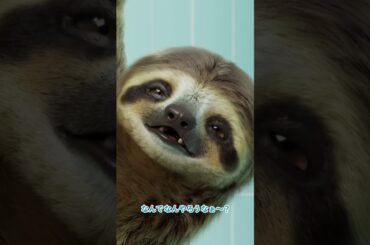 【公式】カビキラーラクラク連射ジェット 新登場篇 10秒​