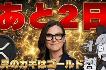 【12/10利下げか】ビットコイン上昇予測！金が暴落？／XRPゲームチェンジ／リップルの計画とは（Bitcoin ビットコイン ETH SOL イーサリアム ソラナ 最新情報 取引所 おすすめ 税金）