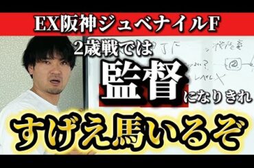 【競馬予想】阪神JFはこれでおけ【中日新聞杯】