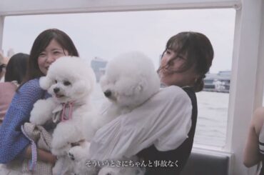 マナーと信頼が両立する愛犬イベント！ ｜ Wan!Pass 記念20万人突破記念 in 横浜