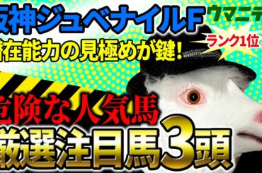 【阪神ジュベナイルフィリーズ2025】驚異的！2025年JRA全レース予想で収支プラス110万超！「霧プロ」の厳選注目馬＆危険な人気馬を特別公開！