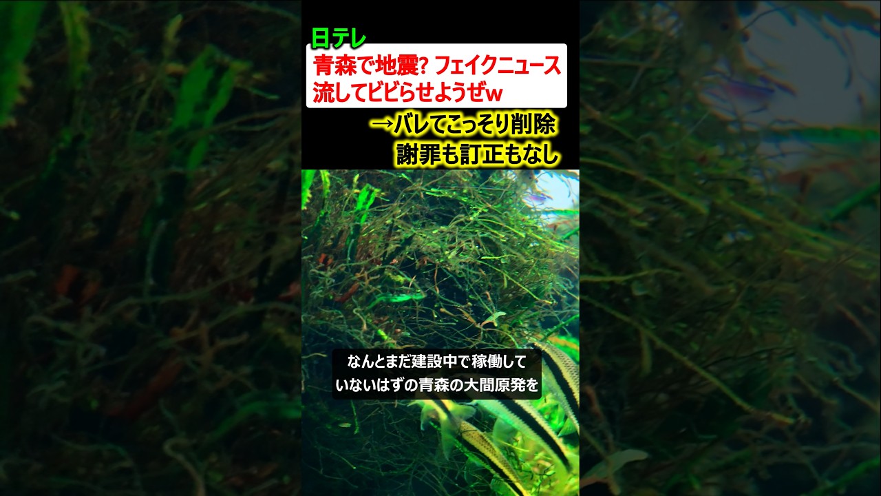 日テレ「青森県で地震? フェイクニュース流してビビらせようぜw」→バレてこっそり削除 日テレ「青森県で地震? フェイクニュース流してビビらせようぜw」→バレてこっそり削除