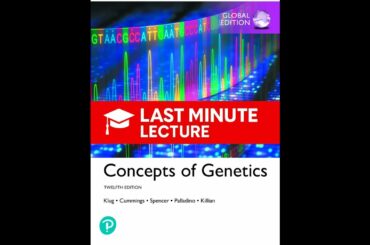 DNAの構造と解析 | 第10章 遺伝学の概念（12年生）