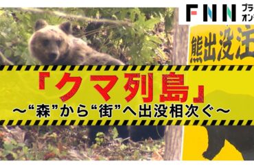 ヒグマやツキノワグマによる被害相次ぐ　「緊急銃猟」でクマ駆除する地域も　お昼の保育園にも出没… 熊に関するニュースまとめ