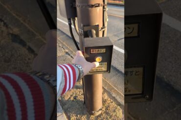 森高千里ファンの聖地【渡良瀬橋】　#渡良瀬橋　#森高千里