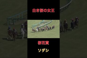 白き桜の女王ソダシ【桜花賞】#競馬#馬券#予想