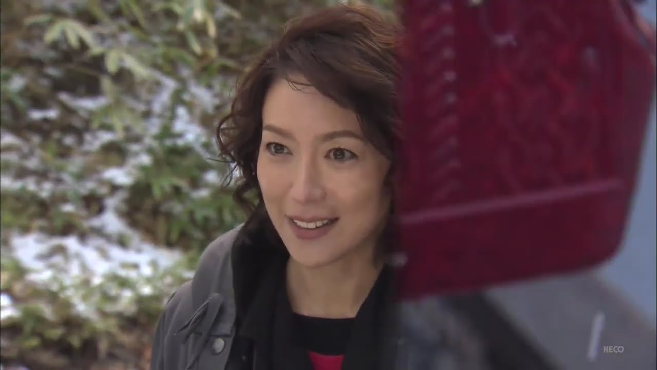 北海道警事件ファイル警部補 五条聖子 第3作「登別室蘭殺人事件」 北海道警事件ファイル警部補 五条聖子 第3作「登別室蘭殺人事件」