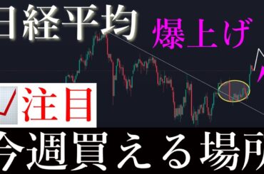 🚨注目！この形90%上です。日経平均株価/Ni225