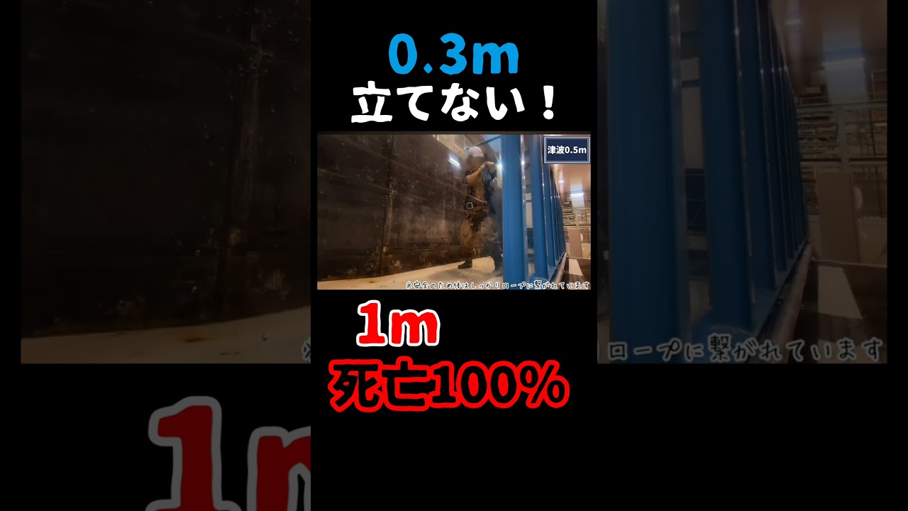 【30cm】が奪う命。 【30cm】が奪う命。