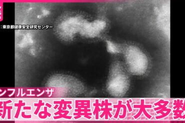 【大流行のインフルエンザ】新たな変異株「サブクレードK」が大多数