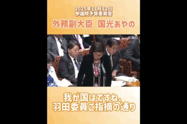 対ロシア制裁について　 #国光あやの #国会議員#予算委員会 　#外務副大臣