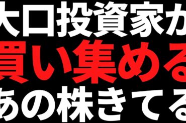 あの大口が水面下で集める有名トップ株は買いか？私の結論はコレです