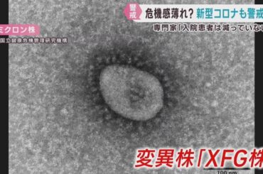 新型コロナの入院患者　ピーク時と比べても減らず　専門家が警戒を呼び掛け