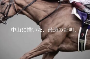 ジオグリフ 皐月賞 JRA CM風