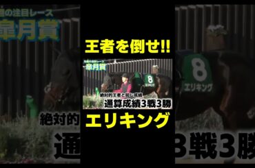 クロワデュノールを倒せ!! エリキング　 #競馬 #競馬予想#皐月賞 #クロワデュノール