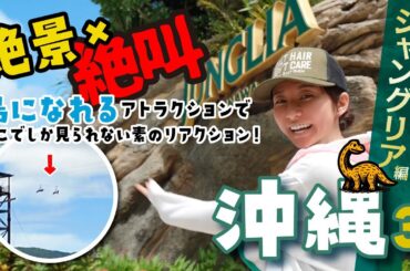 【沖縄】こんなアトラクション初めて！空を飛んだら世界が変わった【ジャングリア】