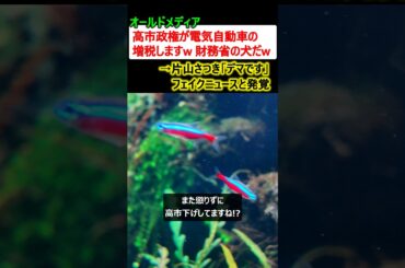 マスコミ「高市政権が電気自動車の増税w 財務省の言いなりw」→片山さつき「デマです」