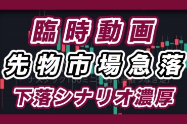 臨時動画 週明けの相場展望 日経平均&米国市場 先物市場急落 下落シナリオ濃厚 ナスダック100、S＆P500、SOX指数