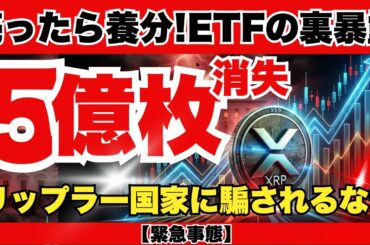 【恐怖と歓喜】XRP5億枚が突如消滅…ETF承認の裏で動く「国家の罠」とは？リップル銀行誕生で資産100倍も現実味！『XRPリップル最新ニュース・仮想通貨最新情報💛』
