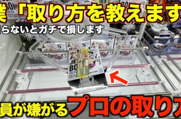【クレーンゲーム】絶対に知らないと損する取り方解説！5000円突っ込んだ結果が想像以上だった…