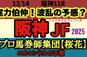 エルコンドル氏の阪神ジュベナイルフィリーズ2025予想｜重賞勝ち馬不在で大混戦！雨馬場で波乱必至の2歳女王決定戦！１番人気アランカールに不安要素も多い中での予想のポイントは！