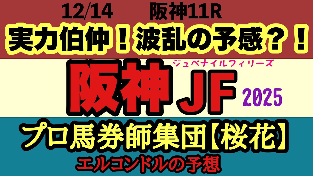 エルコンドル氏の阪神ジュベナイルフィリーズ2025予想|重賞勝ち馬不在で大混戦!雨馬場で波乱必至の2歳女王決定戦!1番人気アランカールに不安要素も多い中での予想のポイントは! エルコンドル氏の阪神ジュベナイルフィリーズ2025予想|重賞勝ち馬不在で大混戦!雨馬場で波乱必至の2歳女王決定戦!1番人気アランカールに不安要素も多い中での予想のポイントは!